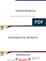 Adaptacion Neonatal