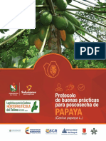 Protocolo poscosecha papaya Tolima