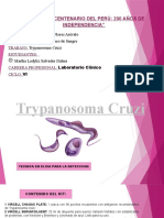 Trypanosoma Cruzi