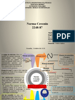 Mapa Mental S.Morillo