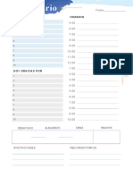 Planner-diario-color-simple-1