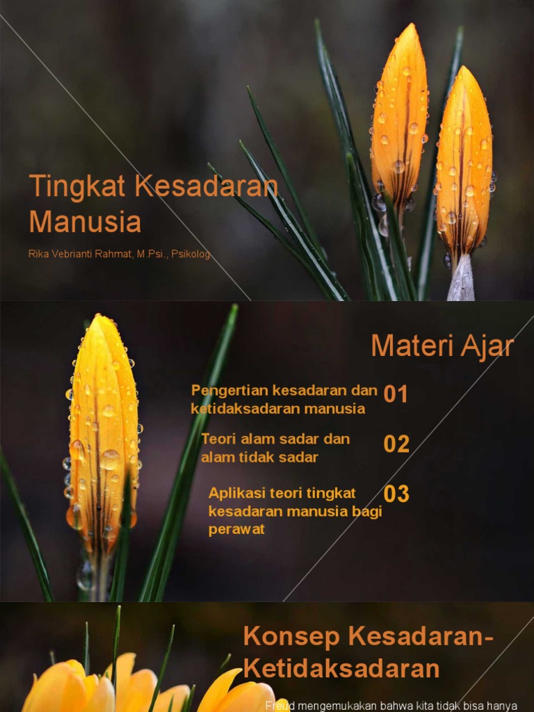tingkat-kesadaran-manusia-pdf
