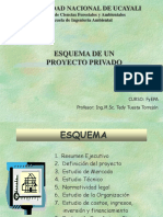 1.0 Guía Proyecto Privado Esquema