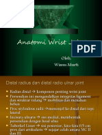 Anat Wrist Joint