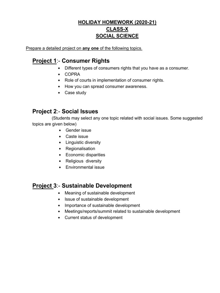 Class 10 SST Project Guidelines | PDF | Sustainable Development ...