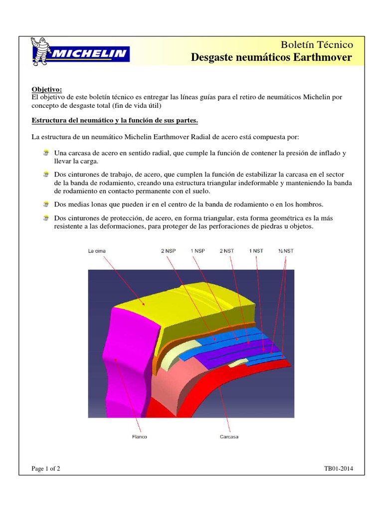 Guía de Desgaste Neumáticos Earthmover | PDF | Neumático | Acero