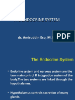 The Endocrine System 2016