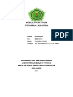 KLP 2-Tf B20-Formula Suppositoria