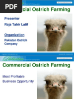 Commercial Ostrich Farming: Presenter Raja Tahir Latif