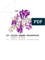 Illustrated DIY CRISPR - Freeze Dried DH5a Liquid Plasmids