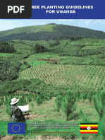 Tree Species Distribution in Uganda | PDF | Trees | Plants