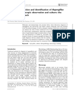 Laboratory Detection and Identification of Species by Microscopic Observation and Culture: The Traditional Approach