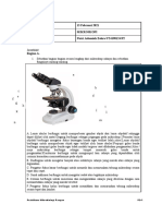 Worksheet 2 Dan 3 Mikroskop Dan Isolasi Mikroorganisme