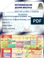 MAPA CONCEPTUAL Infeciones de La Piel