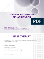 310318120355hincapie - Principles of Hand Rehab