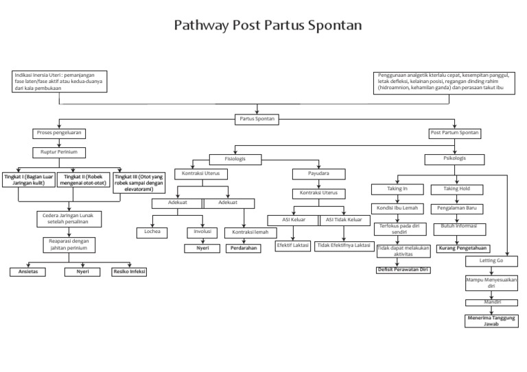 Pathway Post Partus Spontan Angelina Widya | PDF