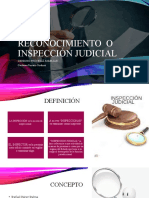 Reconocimiento o Inspección Judicial