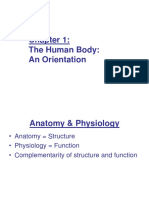 The Human Body: An Orientation