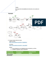 TAREA Enzimas