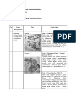 Pengamatan Histologi Gonad Dan Gamet - Andro Chaesi Todoan Manullang - 2013091016