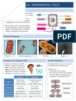 1.2 Prokaryotic Cells