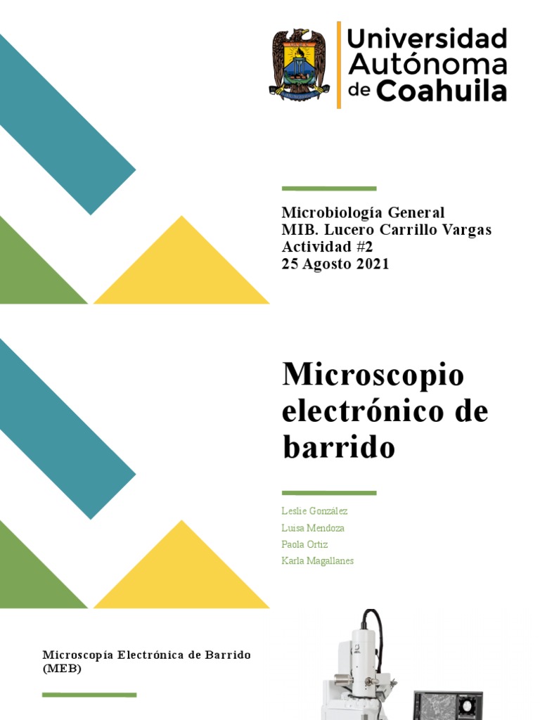 Microscopio Electrónico De Barrido Pdf Microscópio Electrónico