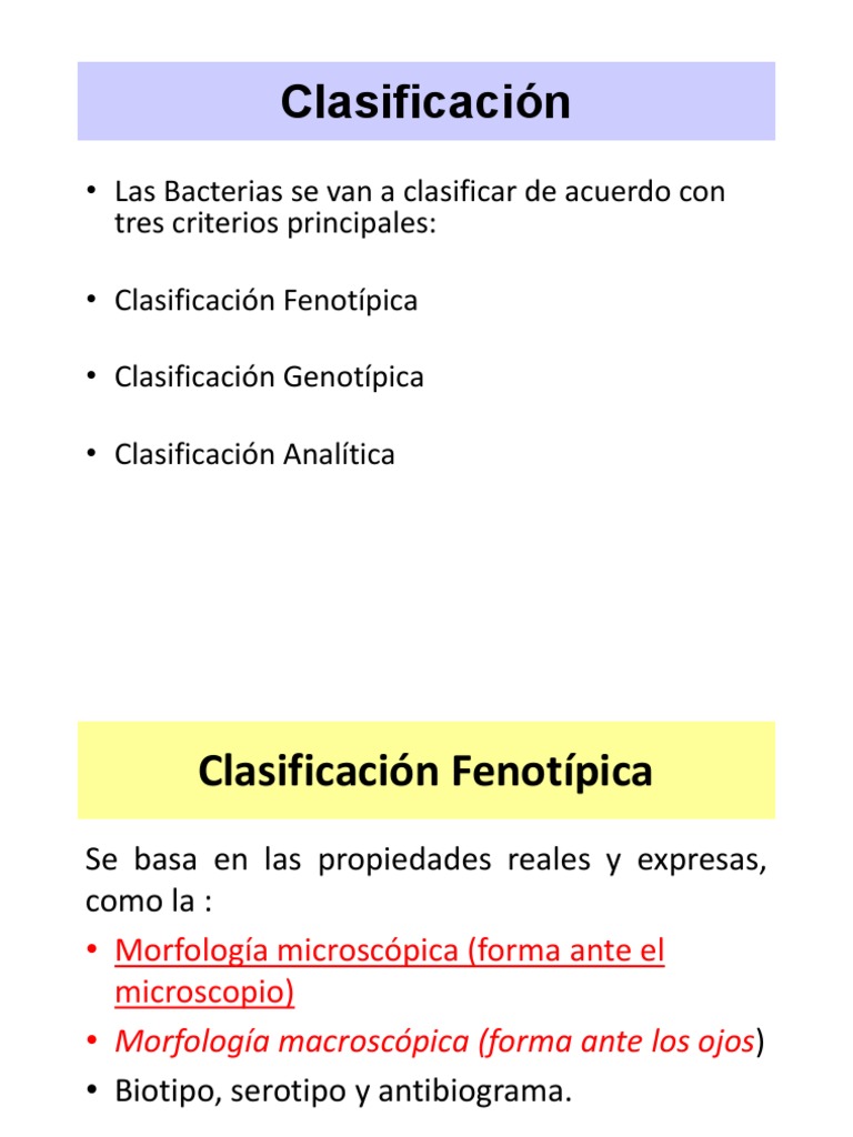 Clasificación de Bacterias: Criterios y Tipos | PDF | Las bacterias ...