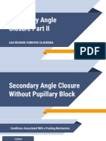 Secondary Angle Closure Mechanisms