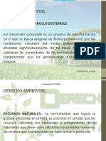 II PDF Ambiental