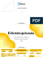 Odontogenesis 146404 Downloable