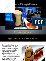 Vdocuments - MX - Principios de Mixologia Molecular