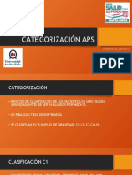 Categorización Aps