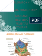 Kelompok 6 Sintesis Protein