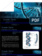 PDF Acidos Nucleicos