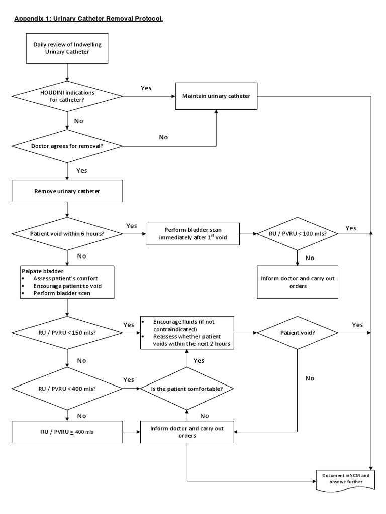 Appendix 1 Urinary Catheter Removal Protocol PDF