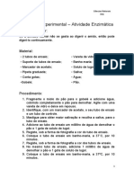 Atividade Enzimática - 9 Ano - Ciencias Naturauis