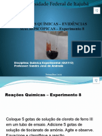 Reaes_Qumicas_Experimento_8