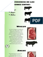 Comparación de Carnes de Bovino de las Razas (Wagyu, Angus y Nelore)