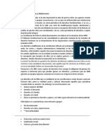 Constitución Política + Niñez y Adolescencia