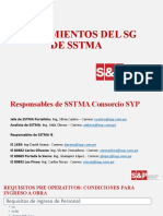 Lineamientos Del SG de Sstma