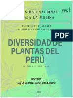 Diversidad de Plantas en El Perú - Tarea