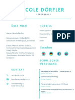 Rot Foto Infografik Lebenslauf-8