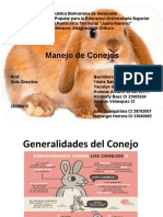 Presentación Conejos