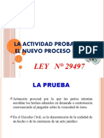 La Actividad Probatoria