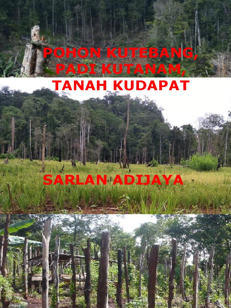 Pohon Kutebang Padi Kutanam Tanah Kudapat Pdf