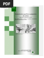 Anatomia de Superficie e Palpatoria Do Ombro