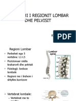 Vleresimi I Regionit Lombal Dhe Pelvis