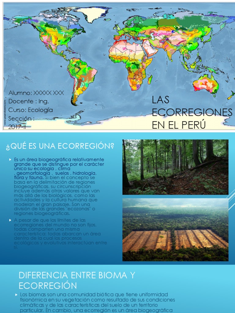 Ecorregiones del Perú: Definición y Tipos | PDF | Geografía Física ...
