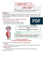 Guia N°3 C. Naturales Sistema Nervioso