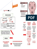 Infografia Propiedad Intelectual